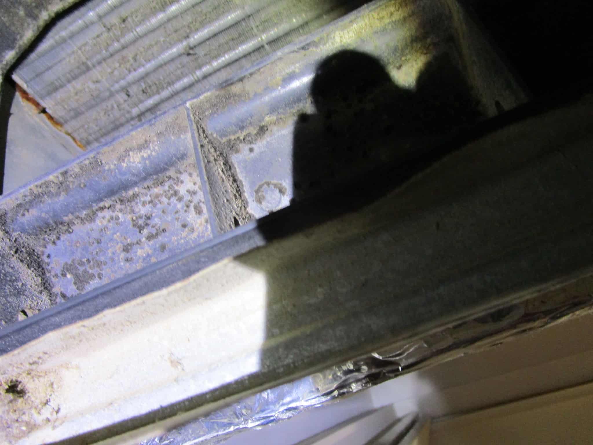 mold in a/c