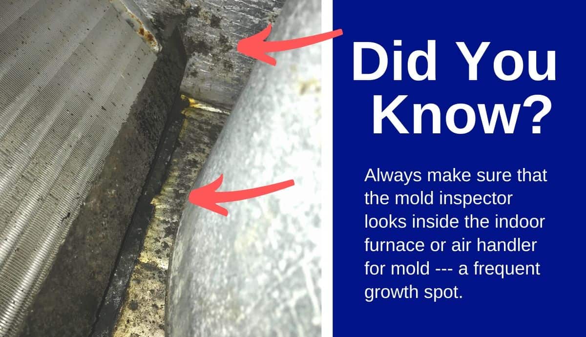 mold inside of furnace