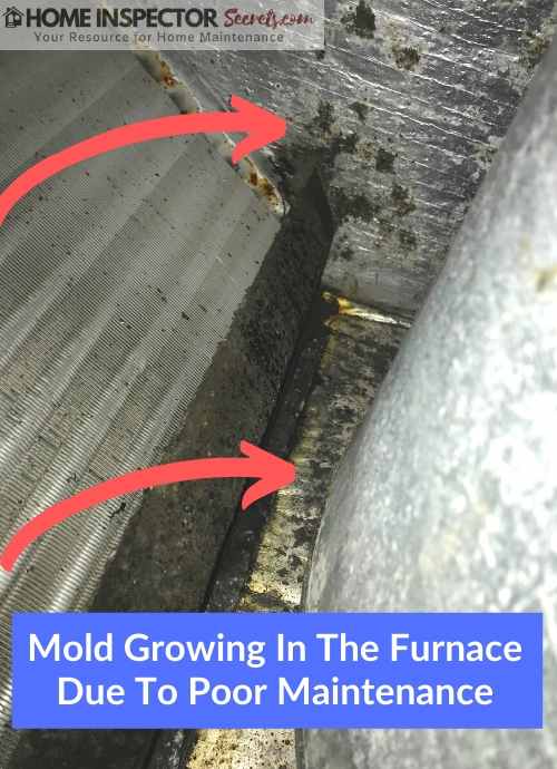 steam vs evaporative whole house humidifier