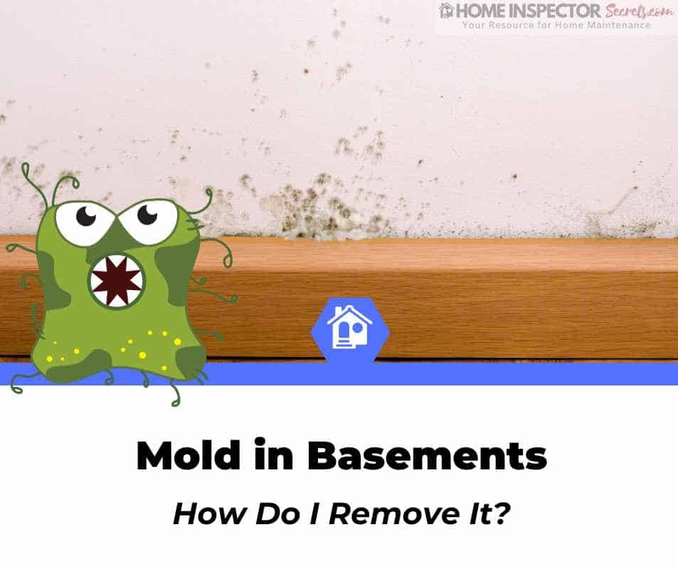 how to get rid of mold in basement how to get rid of mold in basement