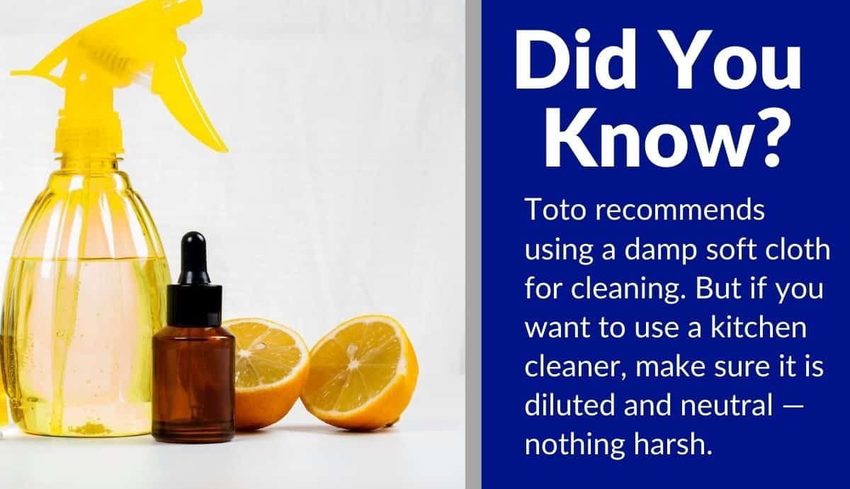 how to clean toto washlet (2)