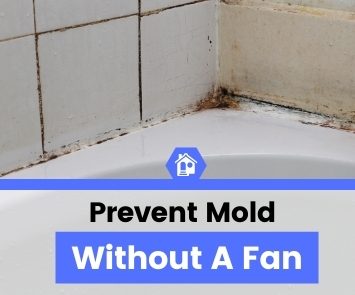 how to prevent mold in bathroom without fan (1) how to prevent mold in bathroom without fan (1)