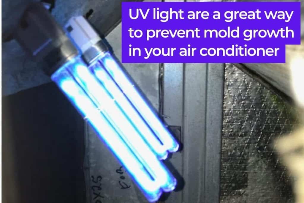 UV Bulbs