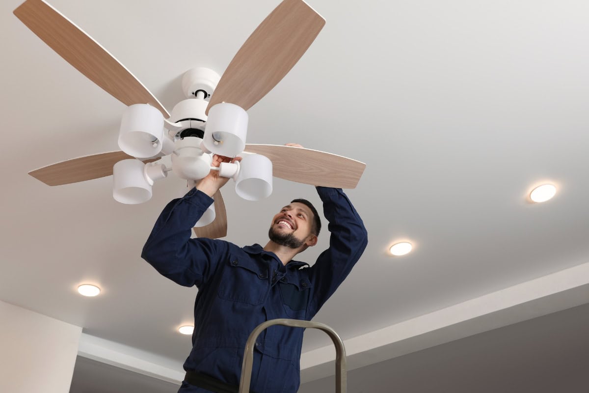 ceiling fan direction in summer winter months
