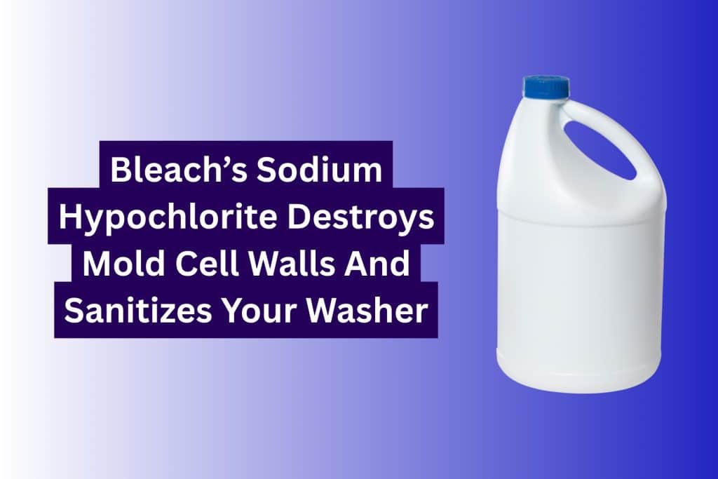how to clean washing machine (4)