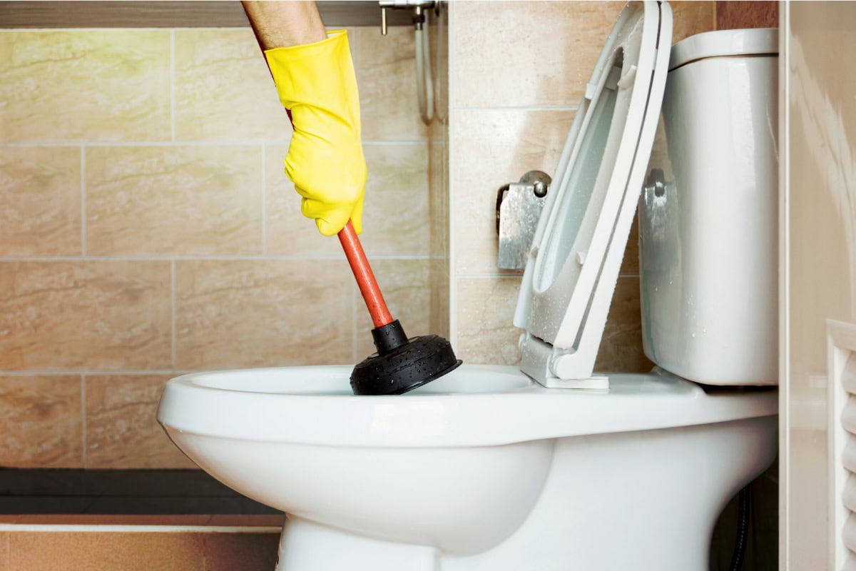 unclog toilet