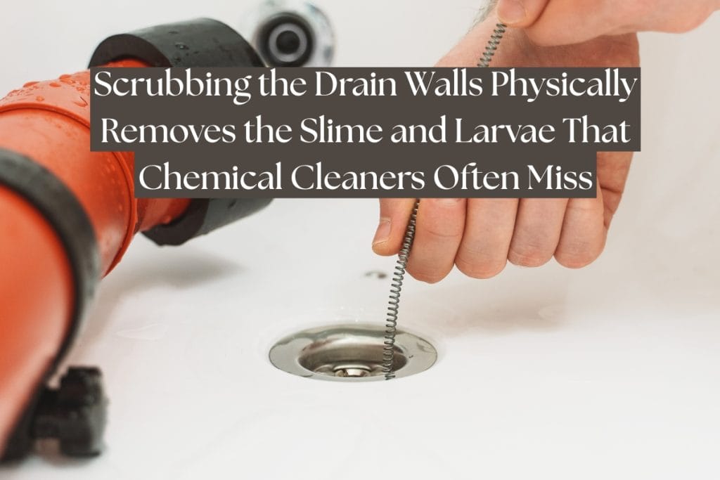 drain brush for pest control