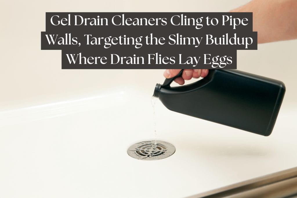 gel drain cleaner for drain fly control (2)