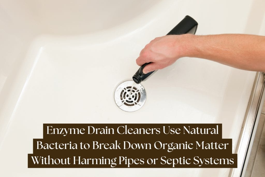 enzyme drain cleaner for drain flies