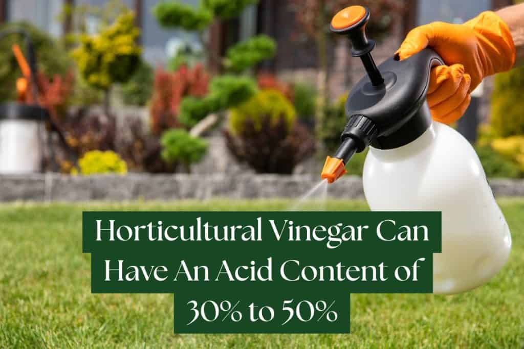 vinegar to kill poison ivy