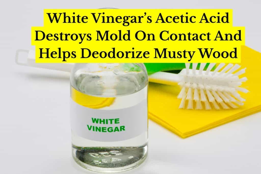 clean mold from wood using white vinegar