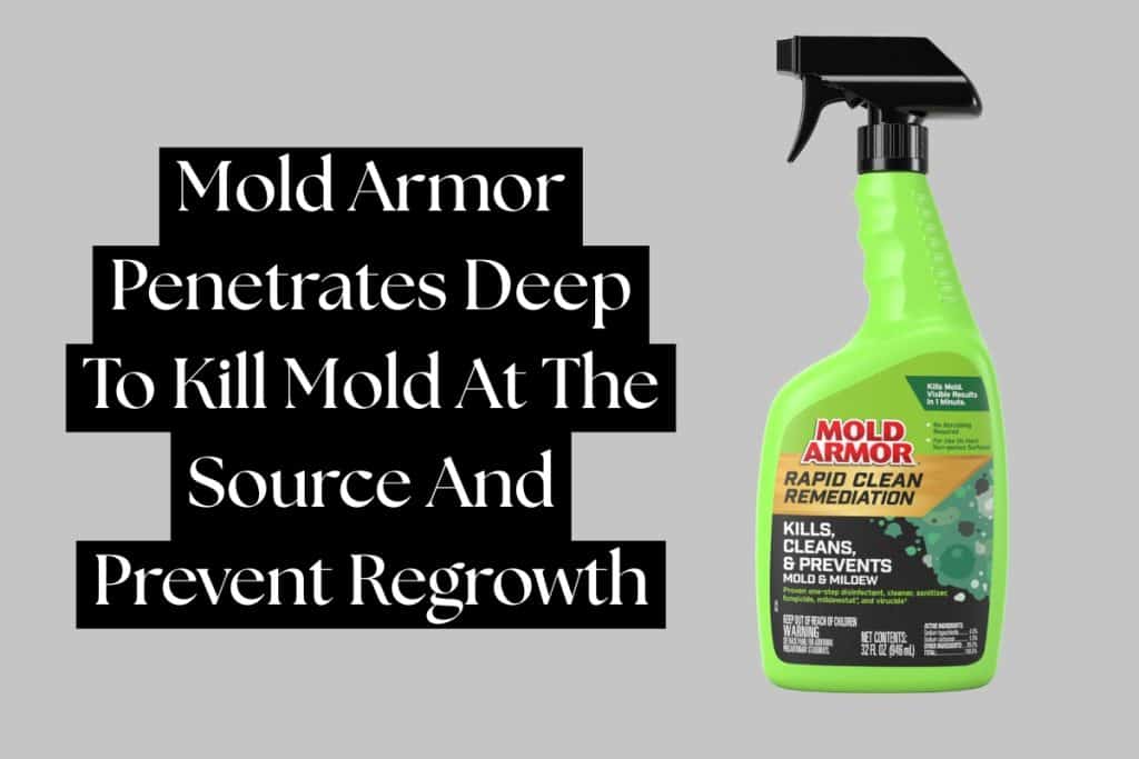 clean mold on wood with mold armor