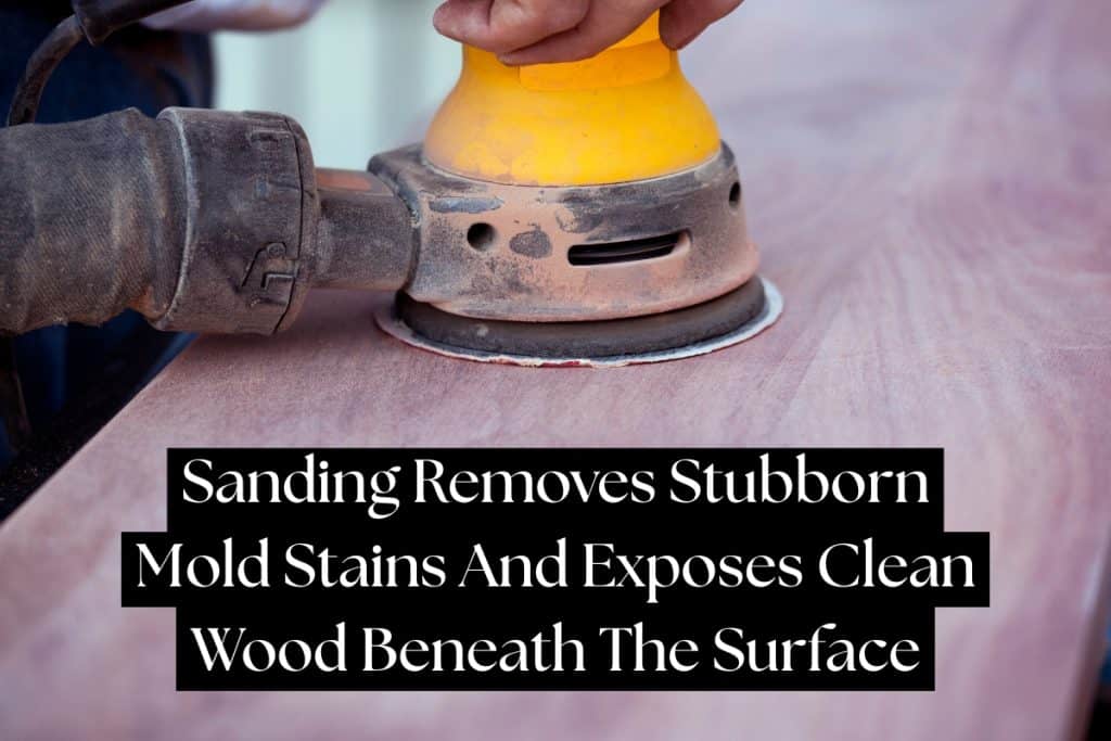 sanding wood to remove mold