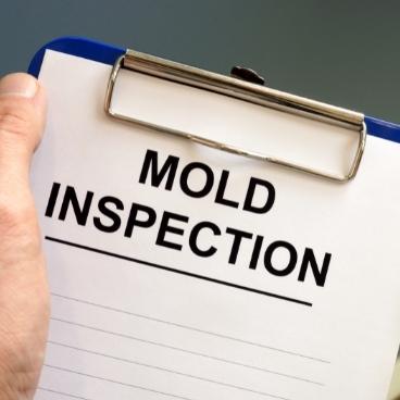 home mold inspection cost testing