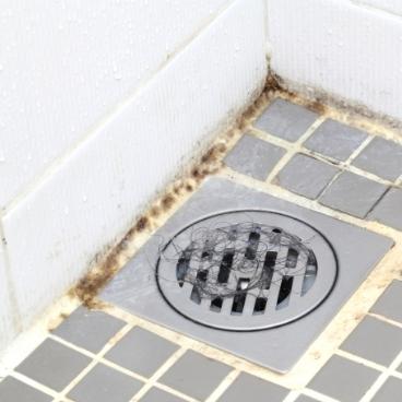 how to prevent mold in bathroom without fan