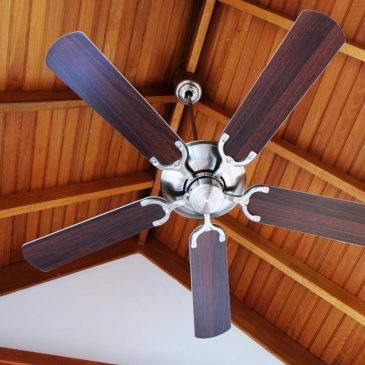 ceiling fan
