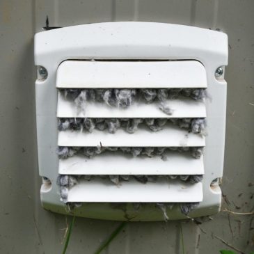 how to keep birds out of dryer vent