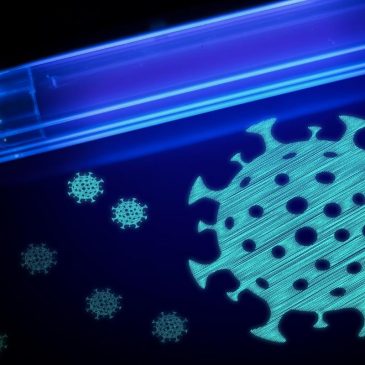 does uv light kill mold