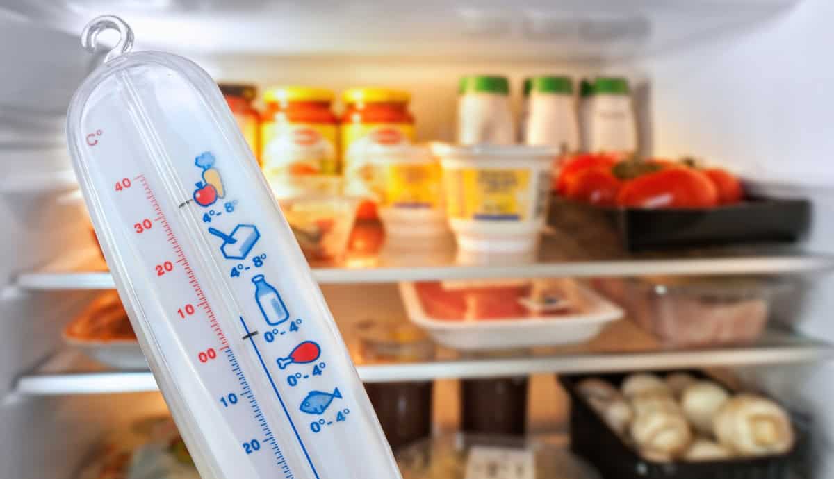 refrigerator freezer temperature ideal